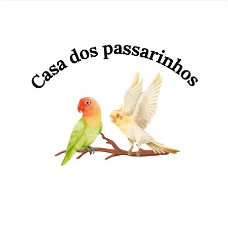 Casa Dos Passarinho'S , Lagos Exterior foto